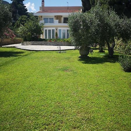 Villa Vasiliki PalaiónTsiflíkion Exterior foto