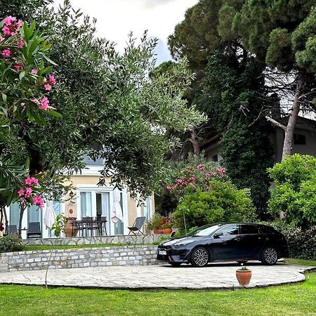 Villa Vasiliki PalaiónTsiflíkion Exterior foto