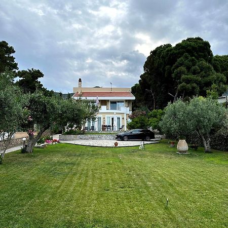 Villa Vasiliki PalaiónTsiflíkion Exterior foto