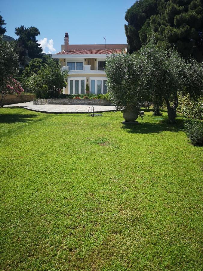 Villa Vasiliki PalaiónTsiflíkion Exterior foto