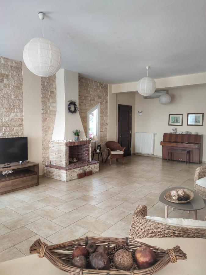 Villa Vasiliki PalaiónTsiflíkion Exterior foto