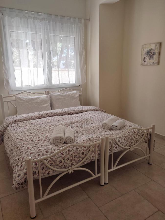 Villa Vasiliki PalaiónTsiflíkion Exterior foto