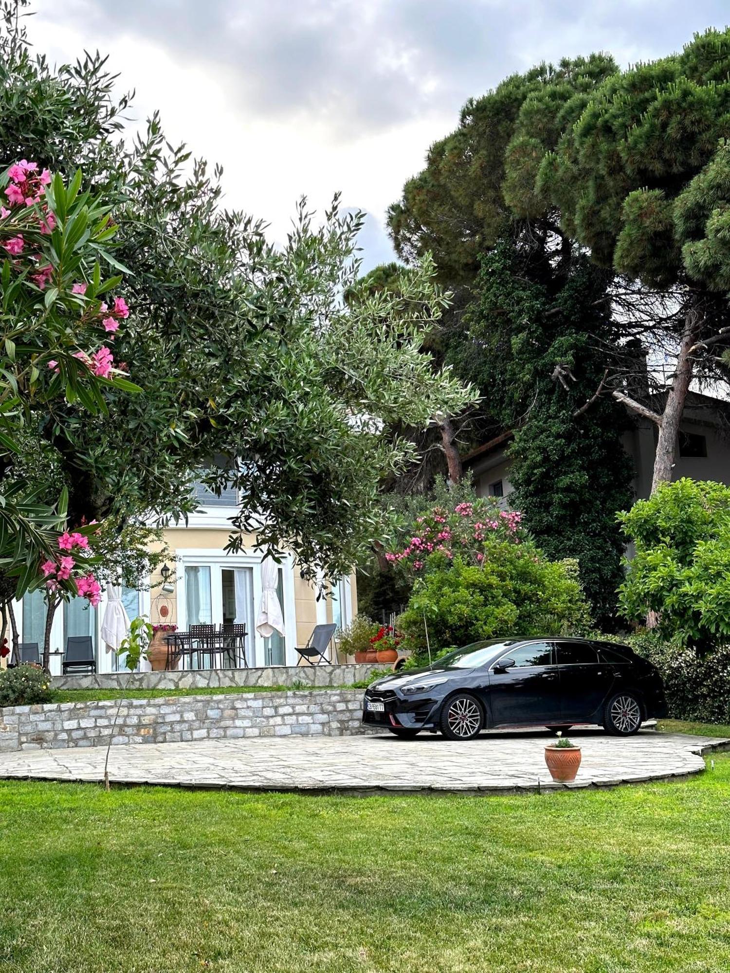 Villa Vasiliki PalaiónTsiflíkion Exterior foto